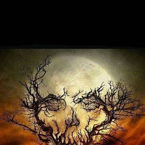 Meet your Posher, Richie